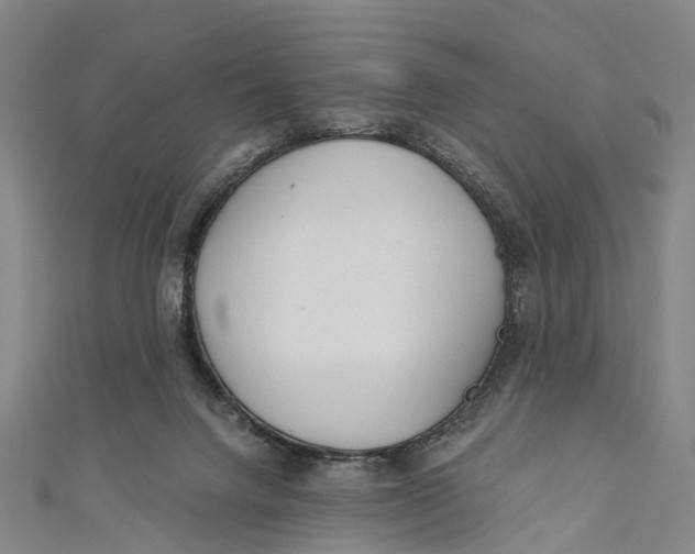 X0000110980072200907101418