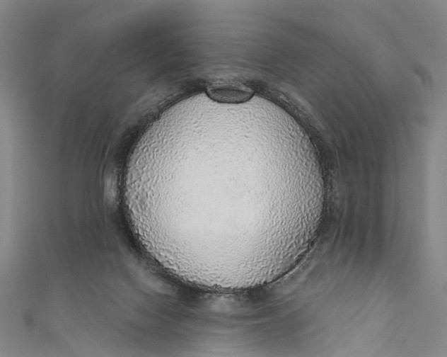 X0000110980074200907101418