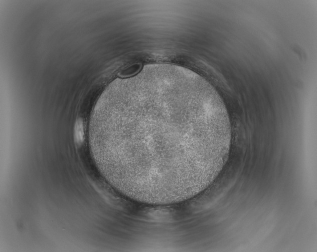 X0000110980075200907101419