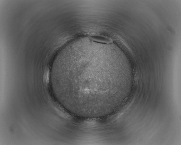 X0000110980076200907101419