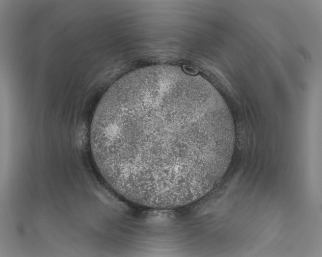 X0000110980077200907101419