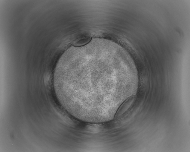 X0000110980079200907101419