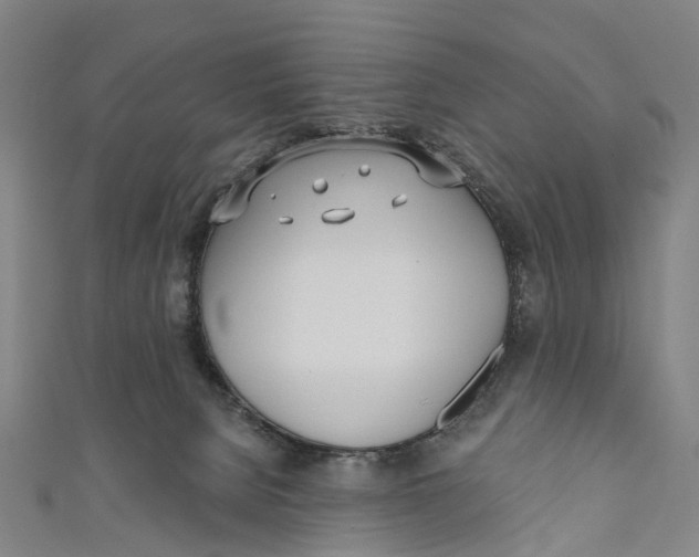 X0000110980080200907101419