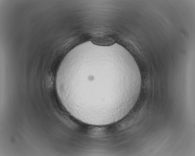 X0000110980081200907101419