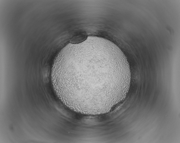 X0000110980082200907101419