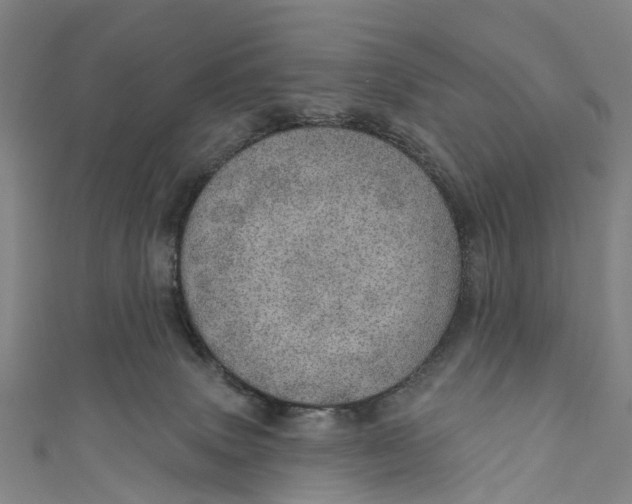 X0000110980083200907101419