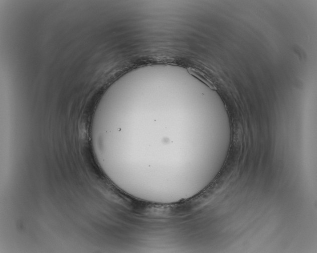 X0000110980084200907101419