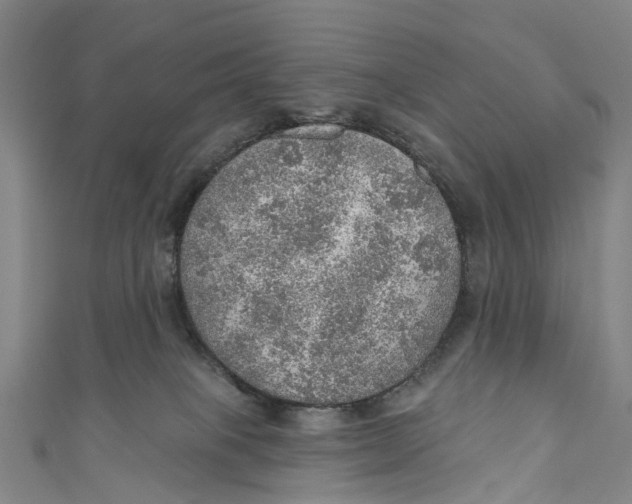 X0000110980085200907101419