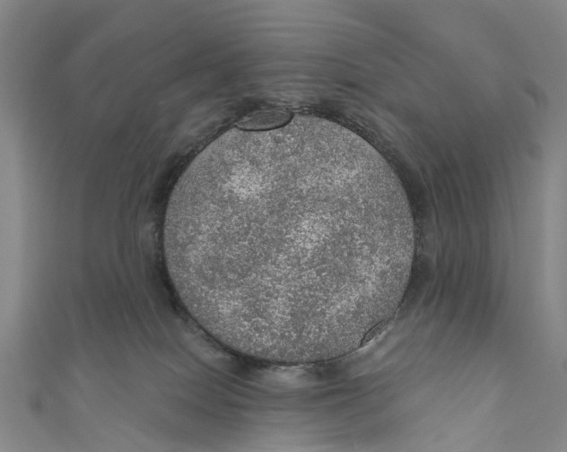 X0000110980086200907101419