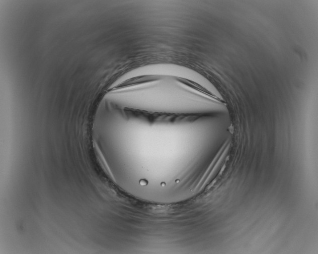 X0000110980088200907101419