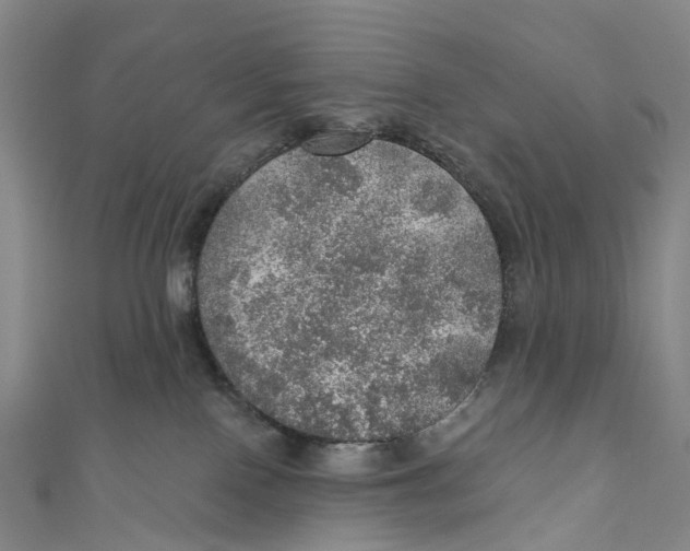 X0000110980090200907101419