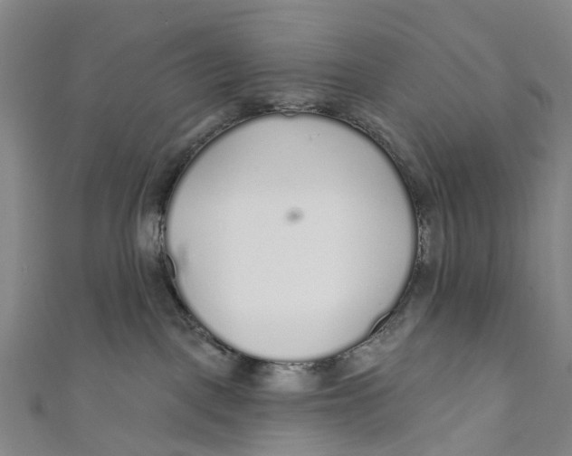 X0000110980093200907101419