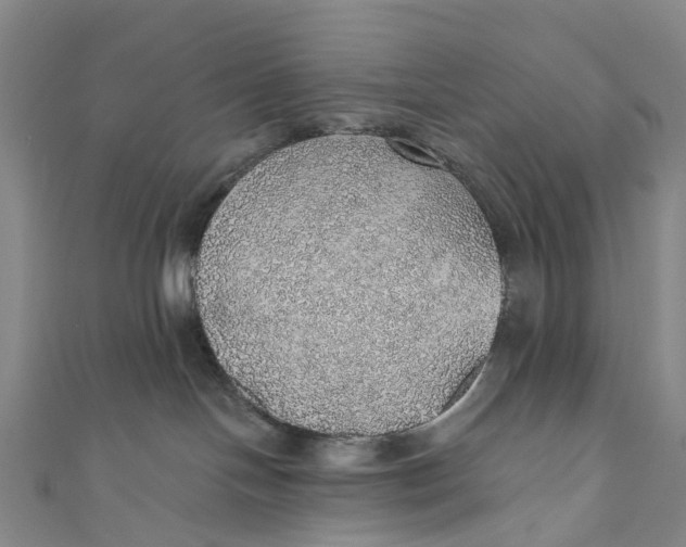 X0000110980094200907101419