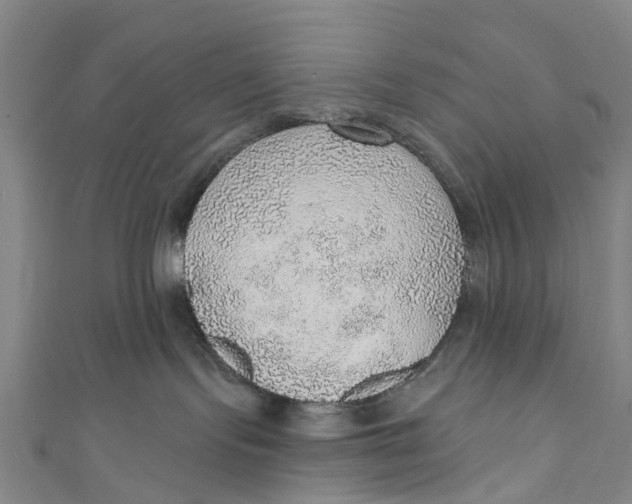 X0000110980095200907101419