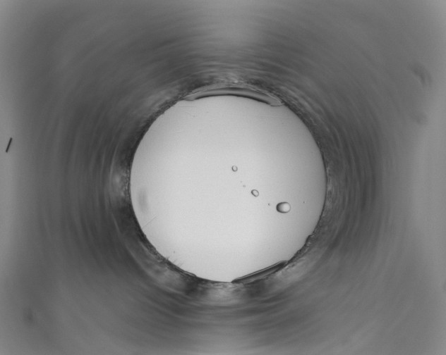 X0000110980096200907101419