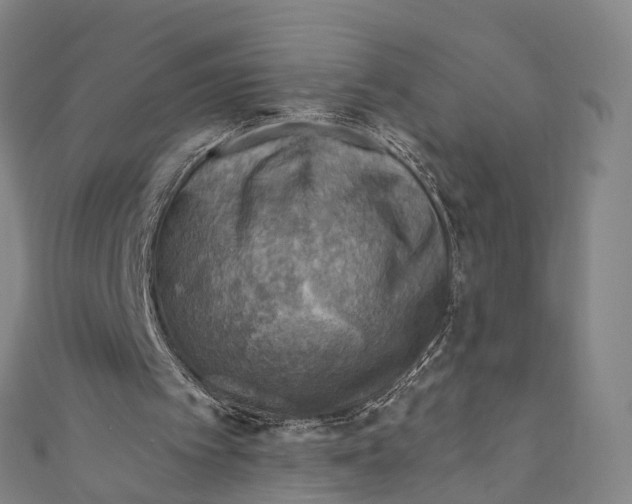 X0000110980097200907101418