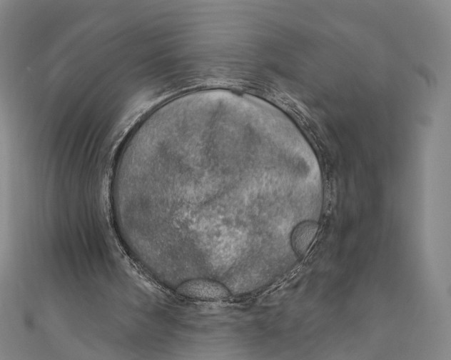 X0000110980098200907101418