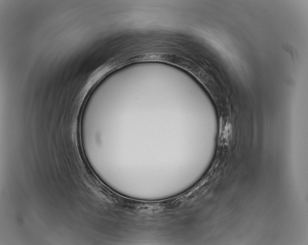 X0000110980099200907101418