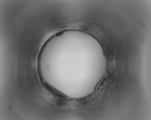 X0000110980100200907101418