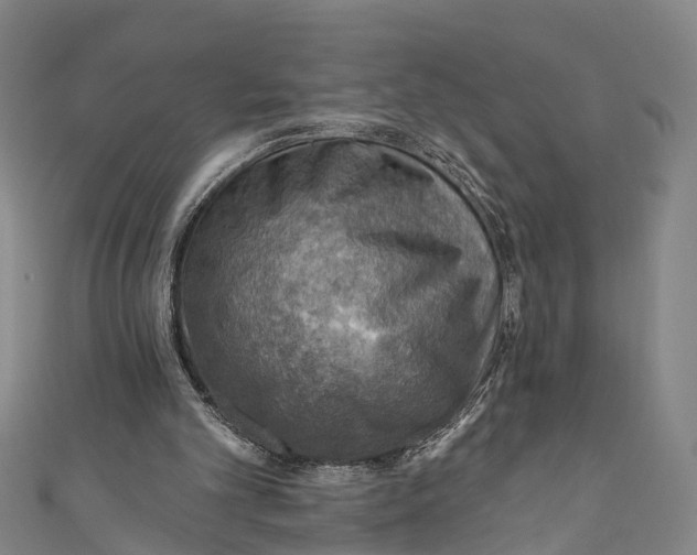 X0000110980101200907101418