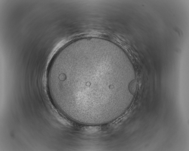 X0000110980102200907101418