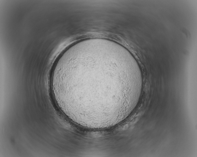 X0000110980103200907101418