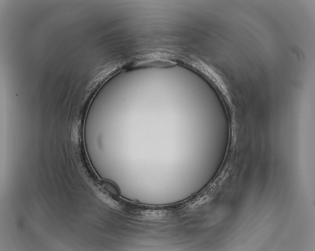 X0000110980105200907101418