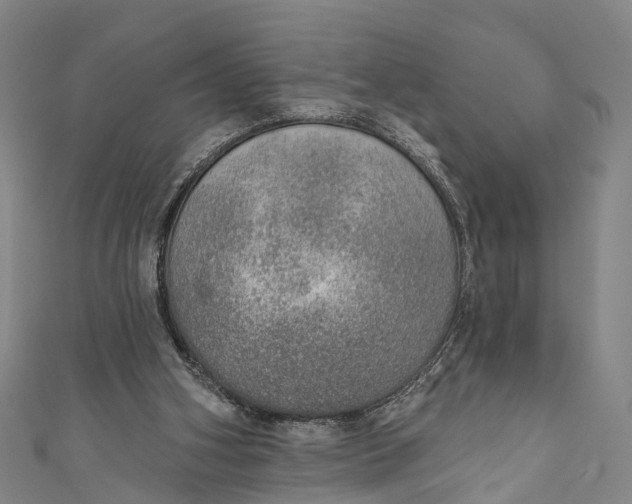 X0000110980106200907101418