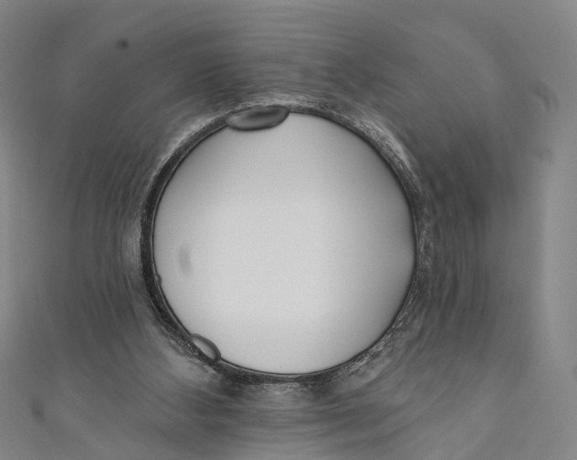 X0000110980108200907101418