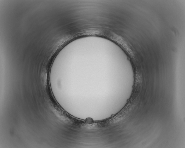 X0000110980110200907101418