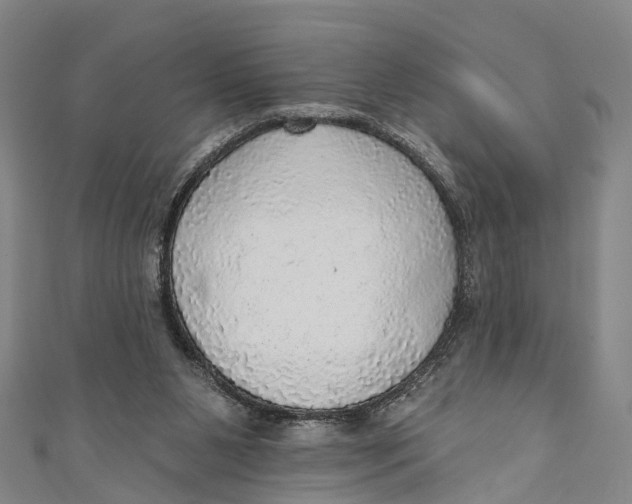 X0000110980111200907101418