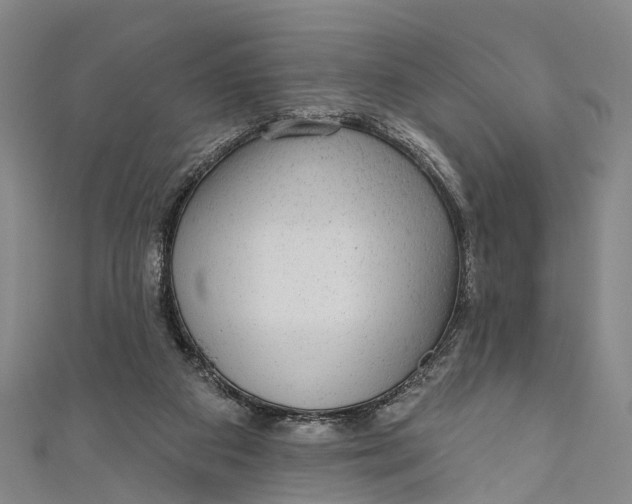 X0000110980113200907101418