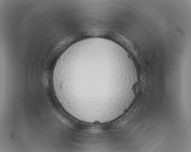 X0000110980114200907101418