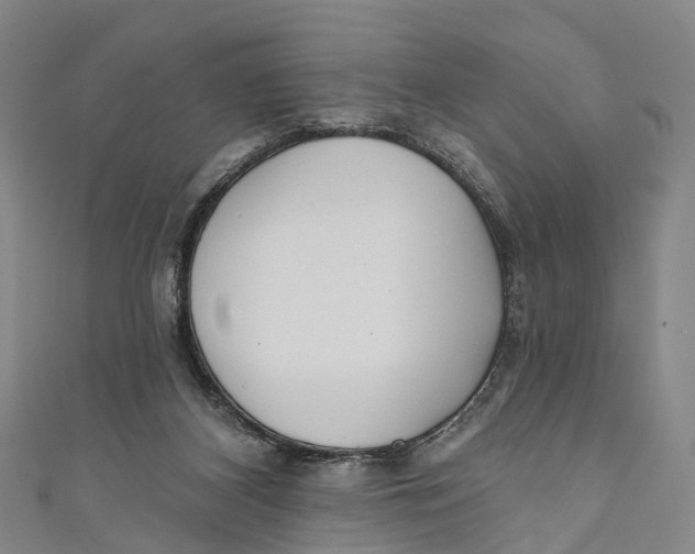 X0000110980116200907101418