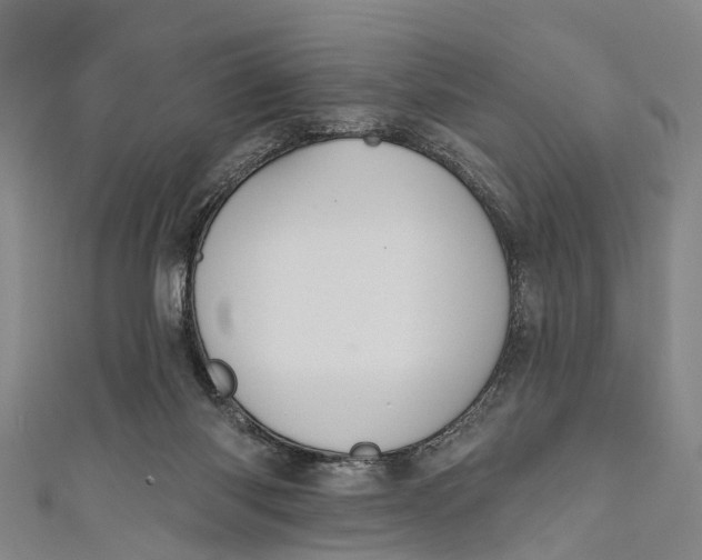 X0000110980118200907101418