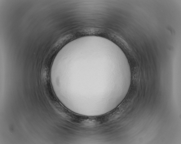 X0000110980119200907101418