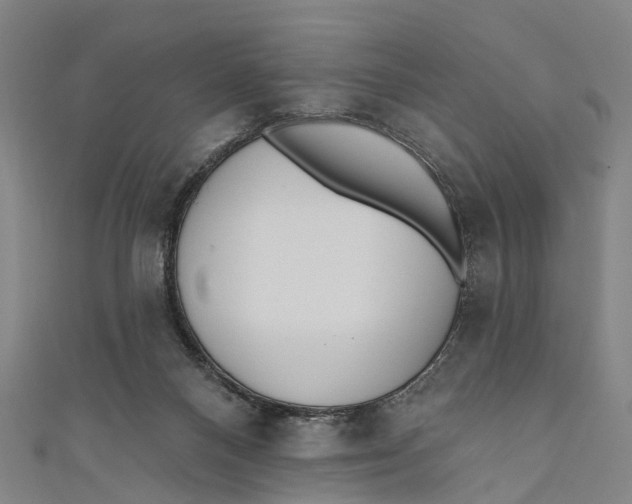 X0000110980120200907101418