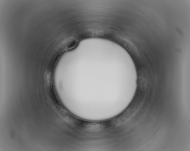 X0000110980123200907101418