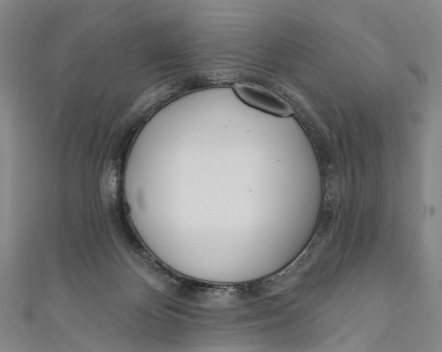 X0000110980124200907101418