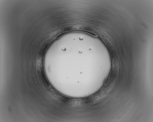 X0000110980127200907101418