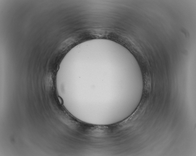 X0000110980128200907101418