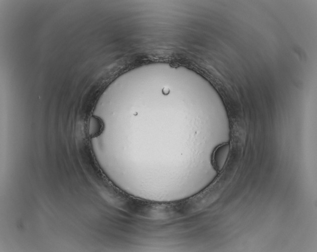 X0000110980130200907101418