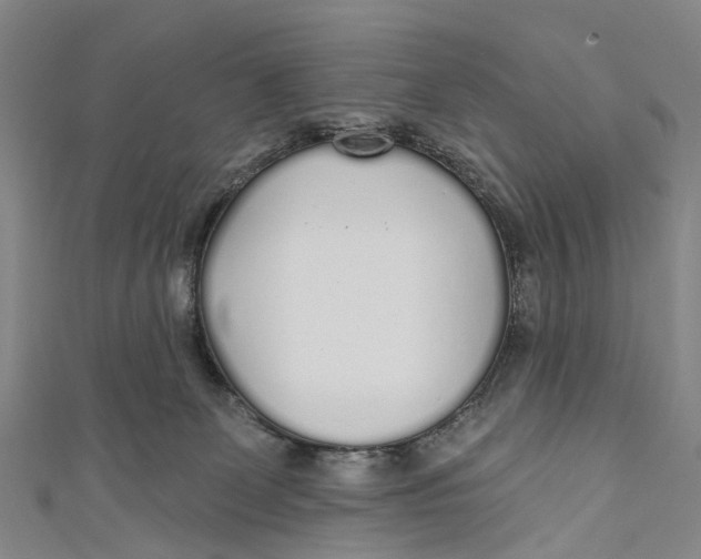 X0000110980131200907101418