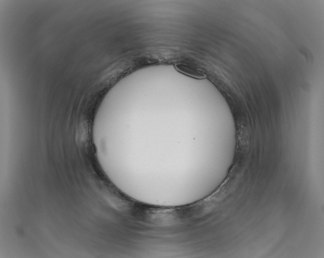 X0000110980132200907101418