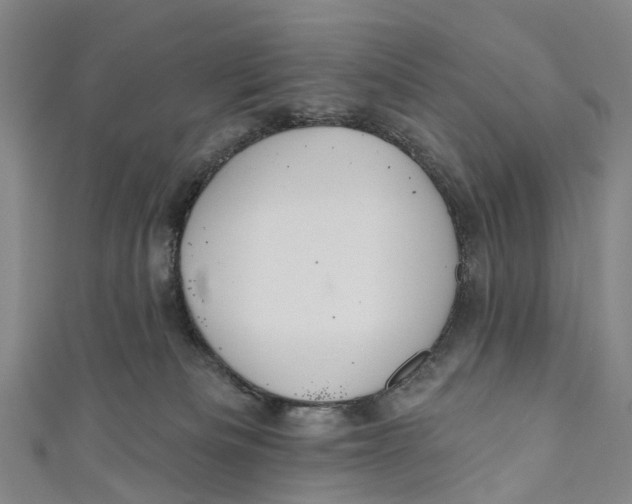 X0000110980133200907101418