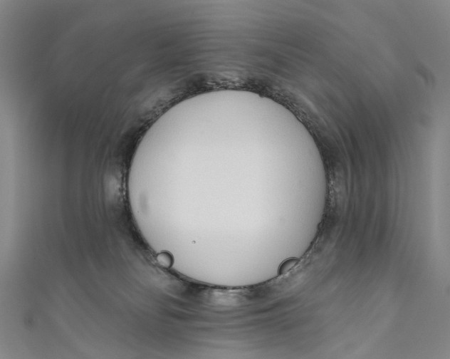 X0000110980134200907101418