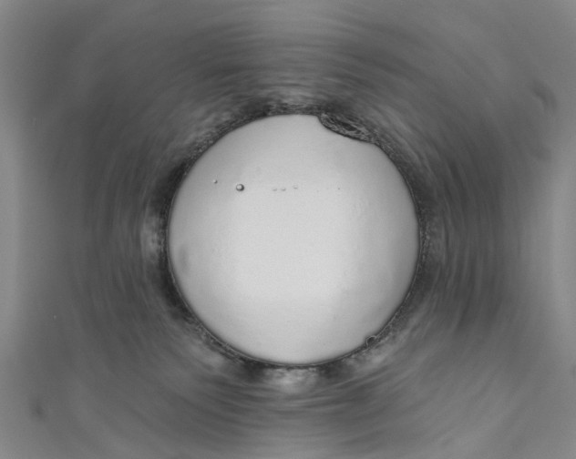 X0000110980135200907101418