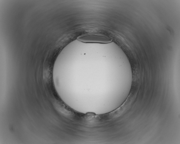 X0000110980136200907101418