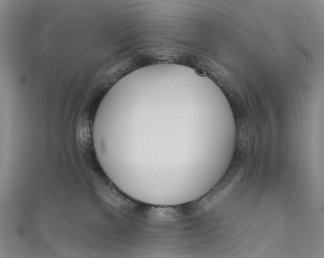 X0000110980137200907101418