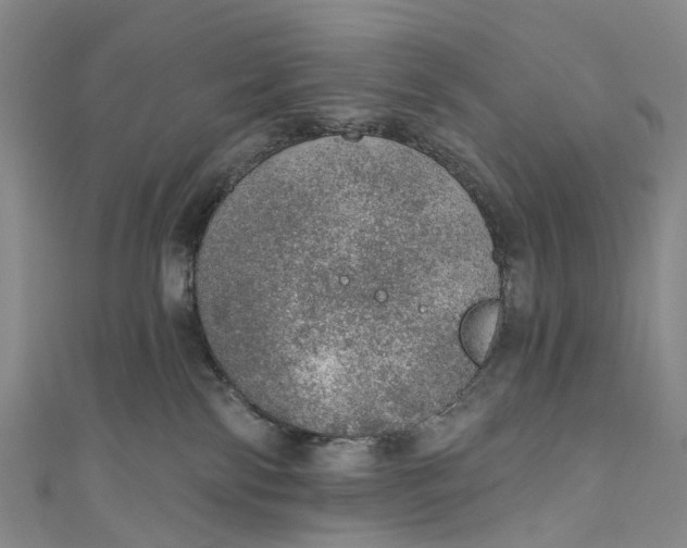 X0000110980138200907101418